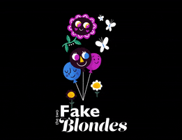 The Two Fake Blondes GIF