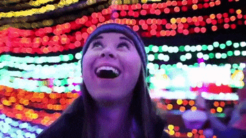 GIF by santaswonderland