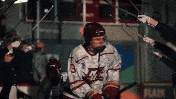 Womens Hockey GIF by Norwich University