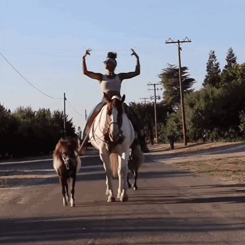 dezmineann fight black horse cowboy GIF