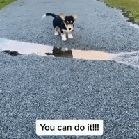 200.gif?cid=fc005b0817edfd09907cbea0352bec35b6ac5f0df98bf302&rid=200.gif&ct=g
