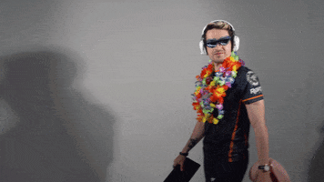 Summer Ball GIF by Rogue