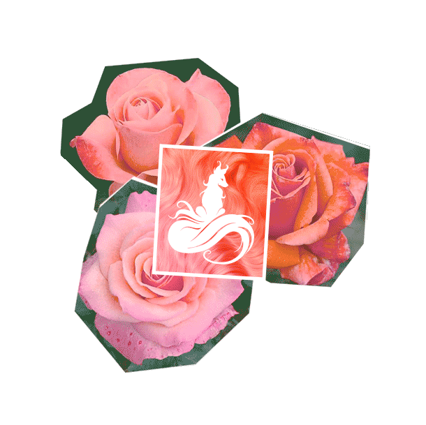 Arctic Fox Roses Sticker by Arctic Fox Hair Color