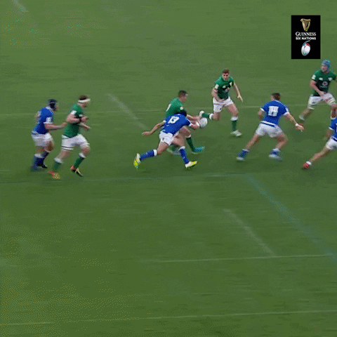 Irish Rugby GIF by Guinness Six Nations