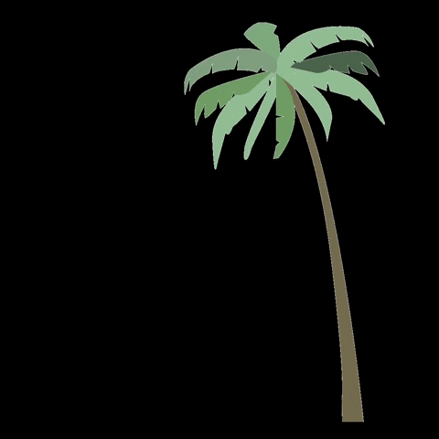 Palm-tree GIFs - Get the best GIF on GIPHY