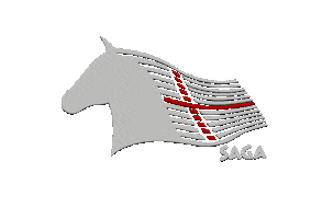 Horse Island Sticker by Saga Reitschulen