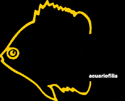 Asociación Española de Acuaristas GIF