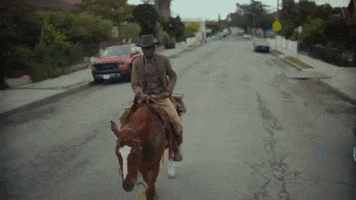 Cowboy GIF