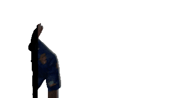 Huiskamerfeestje Sticker