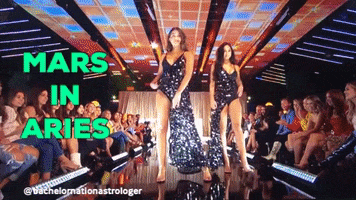 Bachelor GIF