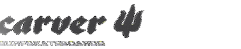 surfskateboards GIF