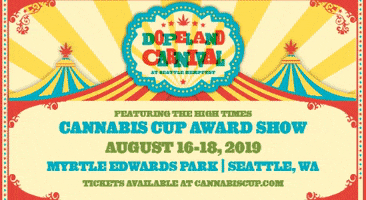 cannabis cup high times GIF by Dope Magazine