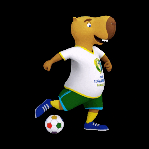 zizito mascota GIF by Copa América