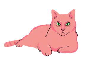 Cat Sticker
