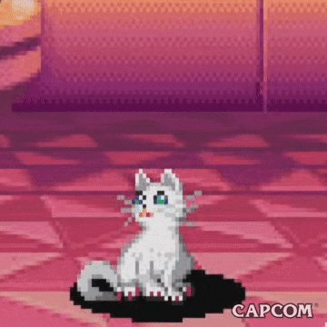 Video Game Cat GIF by CAPCOM