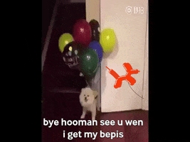 Bye Hooman GIF