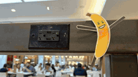 Mr. Banana Rocks Woodfield Mall | ABCs Stop Motion