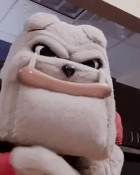 Georgia Bulldogs Happy Holidays GIF by University of Georgia