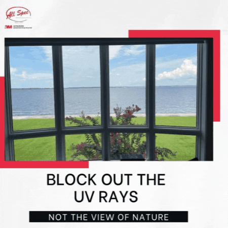 Home Window Tint Jacksonville GIF