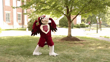 Muscles Rooney GIF by Roanoke College