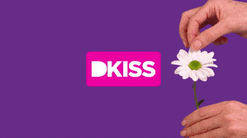 Romance Daisy GIF by DKISS