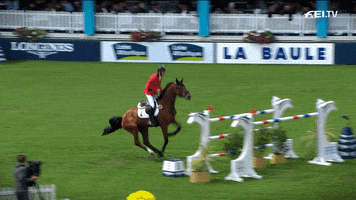 jumping france GIF by FEI Global