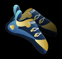 Trento Film Festival GIF