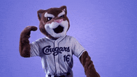 Grounds Crew T Pose GIF by Kane County Cougars - Find & Share on GIPHY