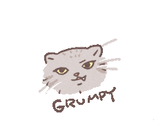 Cat Sticker