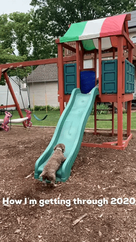 2020 Covid19 Hanginginthere GIF