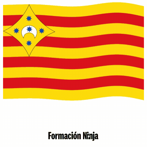 Flag Spain GIF by Formación Ninja