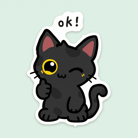 Black Cat Ok GIF by Dicey Together