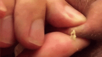 Explode GIF