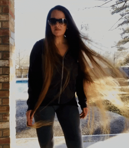 Longhair GIF