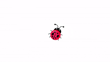 Lovebug GIF