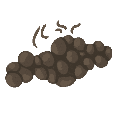 Bunny Rabbit Sticker