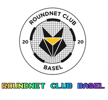 Spikeball GIF by Roundnetclub Basel
