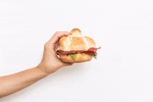 GIF by Zia Rosetta
