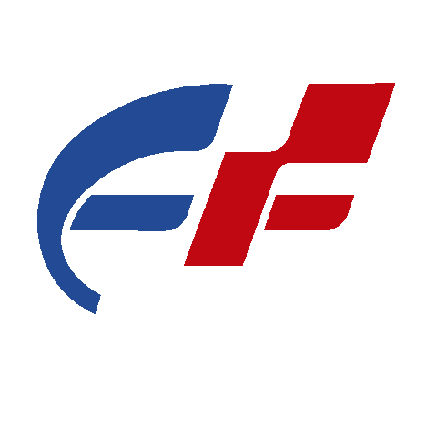 Eurofix Goiania Sticker by Avus Motorsports