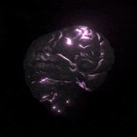 pedomom irina oleg mir 24 gif Trapcode Mir Collection GIFs on GIPHY - Be Animated