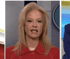 kellyanne conway the hatch act GIF