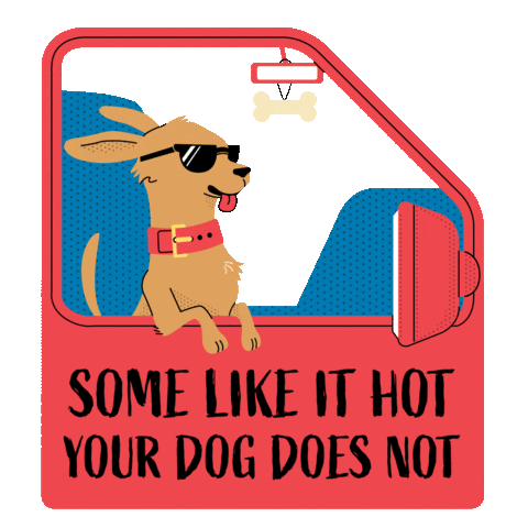 Happy Some Like It Hot Sticker by Boston Animal Shelter