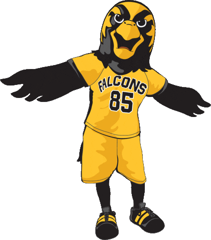 University Falcons Sticker by PfeifferAdmissions