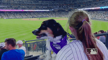 Major League Baseball Dog GIF by MLB