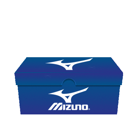 Mizuno Brasil Sticker