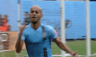 Celebrate Surfs Up GIF by Major League Soccer
