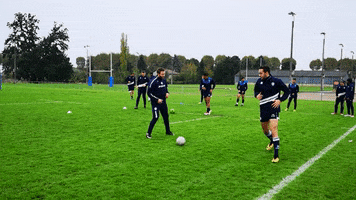 Agen_Rugby football rugby top14 sua GIF