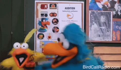 Big Bird GIFs - Find & Share on GIPHY