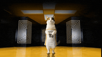 코리아 댄스 스토리 GIF
