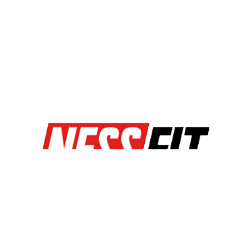 NESSFIT Sticker